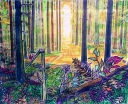 7__Eifelwald2C_2005.jpg
